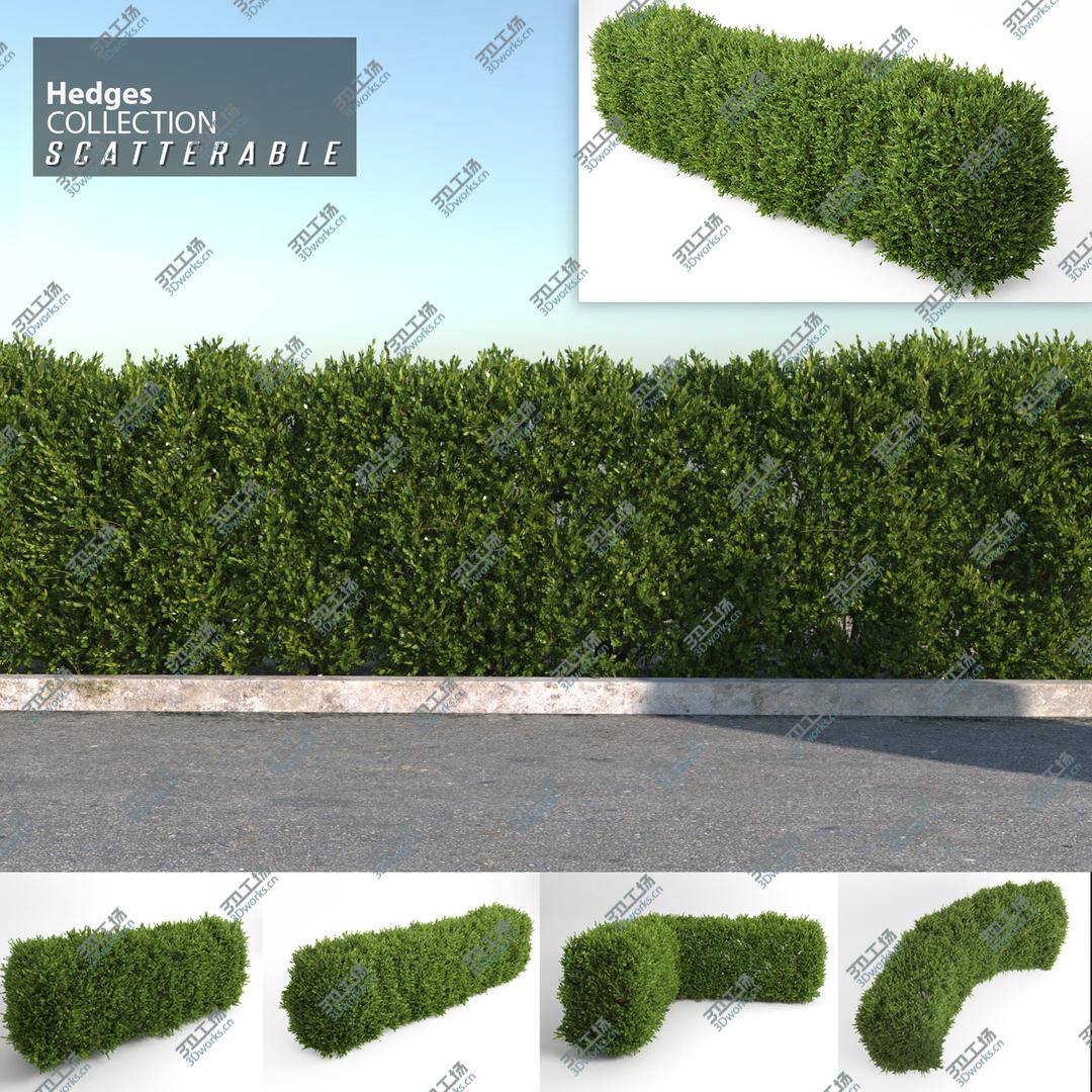 images/goods_img/20210113/Scatterable Hedges Collection/2.jpg